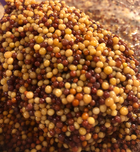 Meg's Mustard - Small Batch - Whole Grain - Craft Beer. Mustard seeds soaking up beer and vinegar.